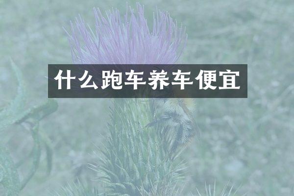 什么跑车养车便宜