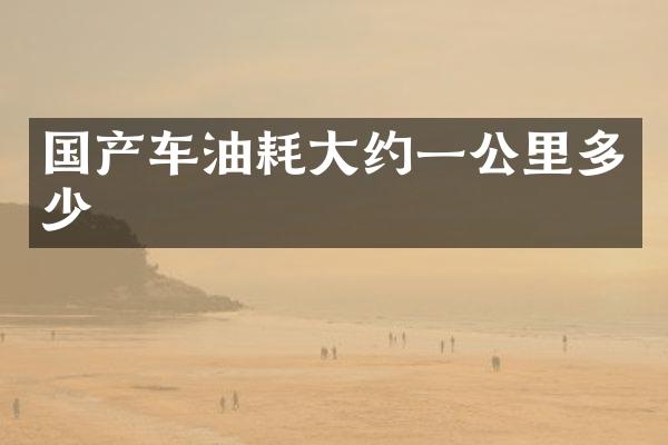 国产车油耗大约一公里多少