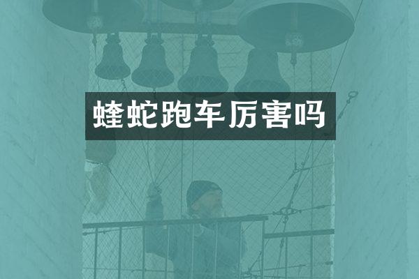 蝰蛇跑车厉害吗