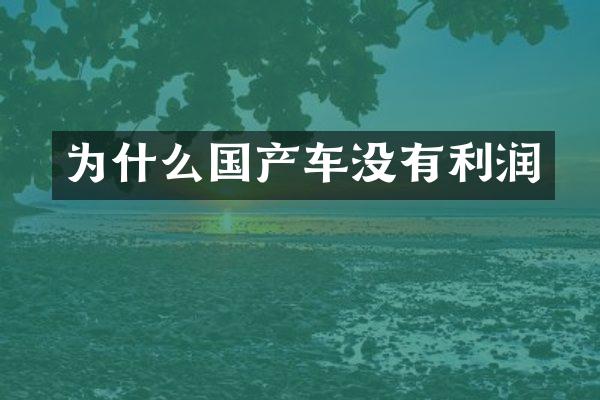 为什么国产车没有利润
