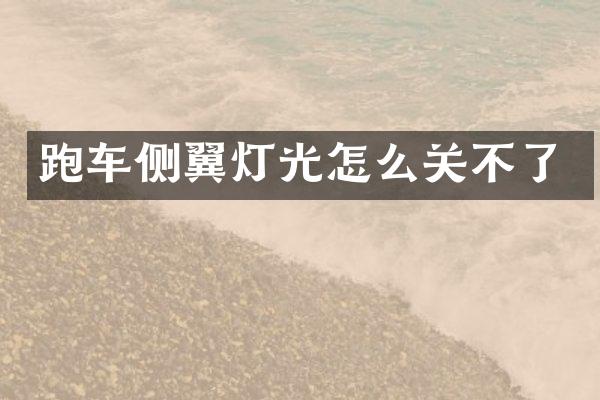 跑车侧翼灯光怎么关不了