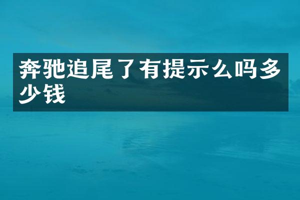 奔驰追尾了有提示么吗多少钱