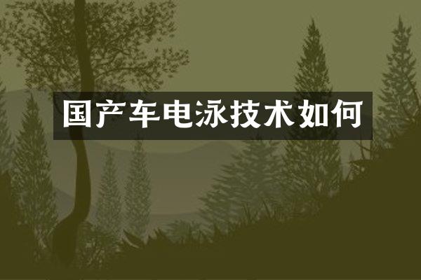 国产车电泳技术如何
