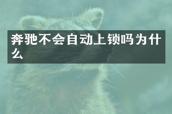 奔驰不会自动上锁吗为什么