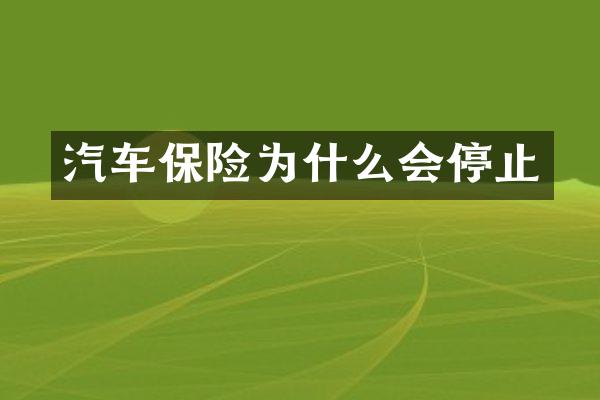 汽车保险为什么会停止