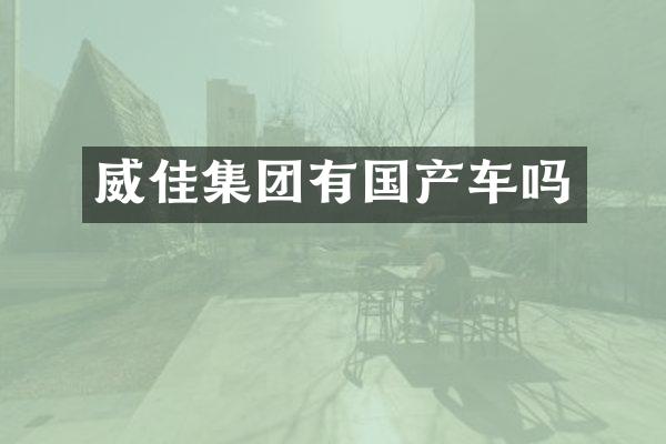 威佳集团有国产车吗