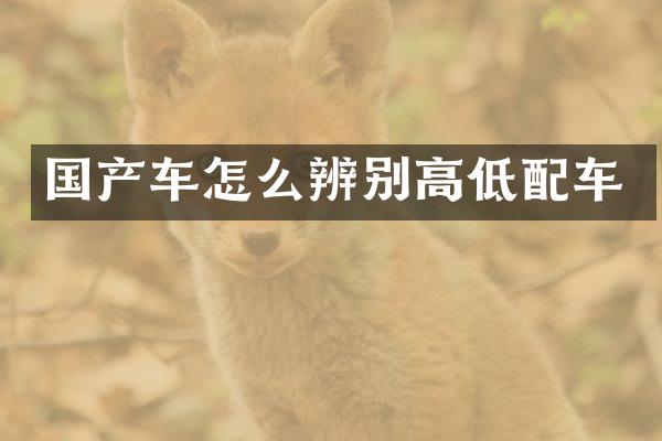 国产车怎么辨别高低配车