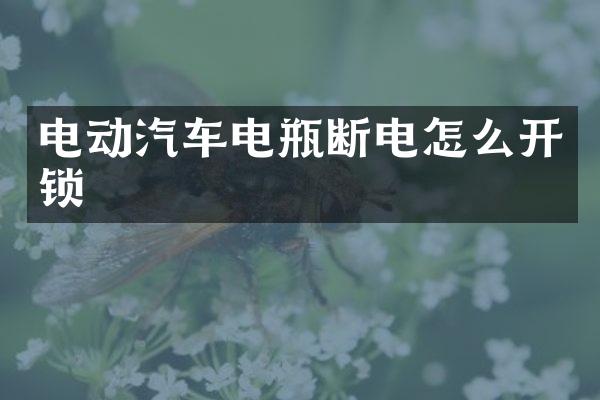 电动汽车电瓶断电怎么开锁