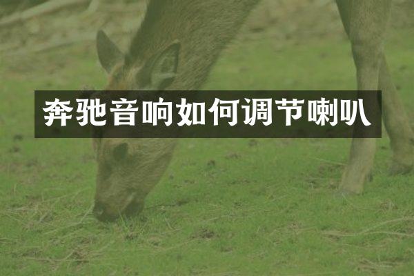 奔驰音响如何调节喇叭