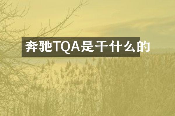 奔驰TQA是干什么的
