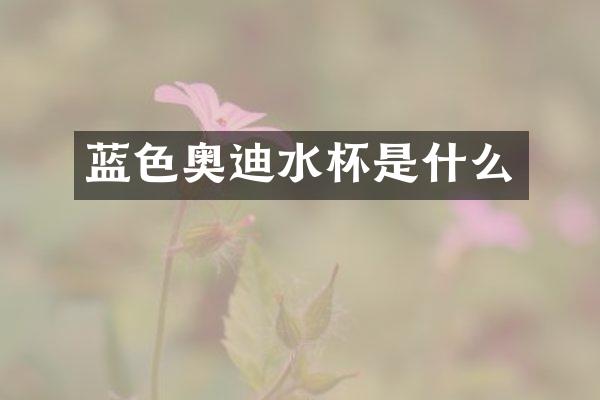 蓝色奥迪水杯是什么