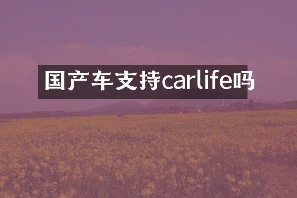 国产车支持carlife吗