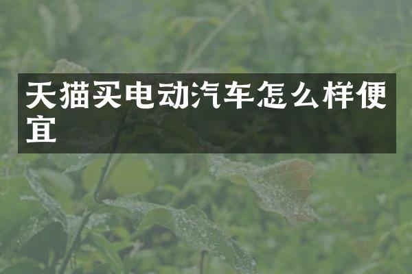 天猫买电动汽车怎么样便宜