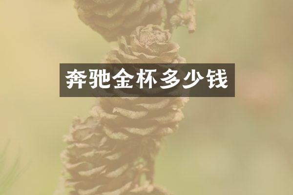 奔驰金杯多少钱