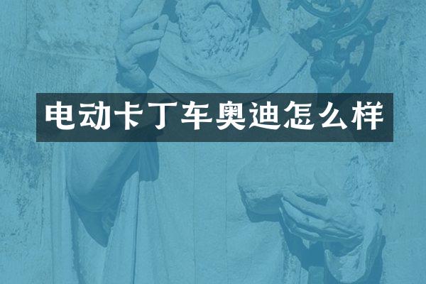 电动卡丁车奥迪怎么样
