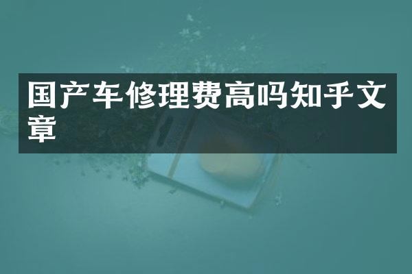 国产车修理费高吗知乎文章
