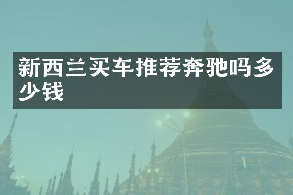 新西兰买车推荐奔驰吗多少钱