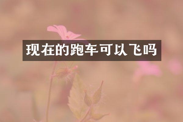 现在的跑车可以飞吗