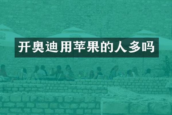 开奥迪用苹果的人多吗