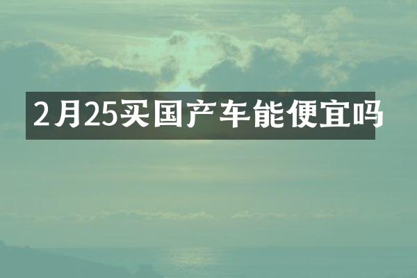2月25买国产车能便宜吗