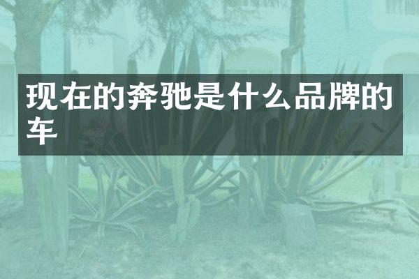 现在的奔驰是什么品牌的车