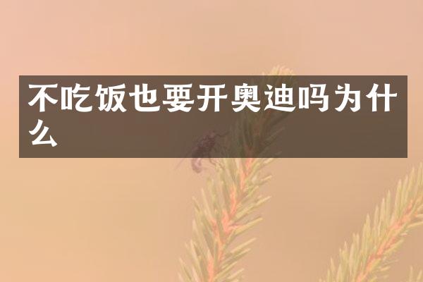 不吃饭也要开奥迪吗为什么