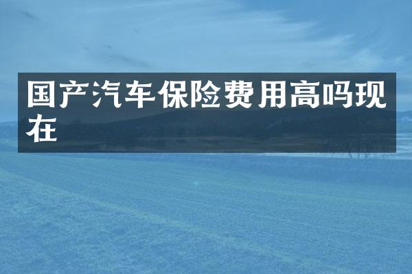 国产汽车保险费用高吗现在
