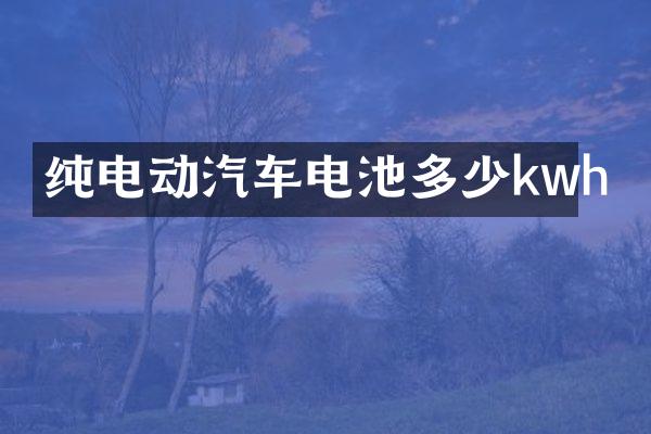 纯电动汽车电池多少kwh