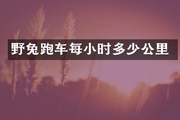 野兔跑车每小时多少公里