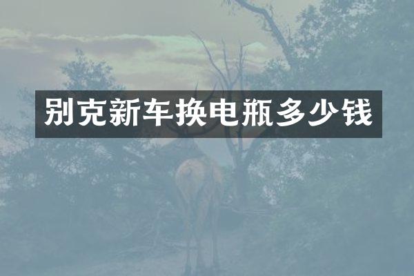 别克新车换电瓶多少钱