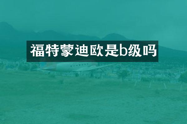 福特蒙迪欧是b级吗