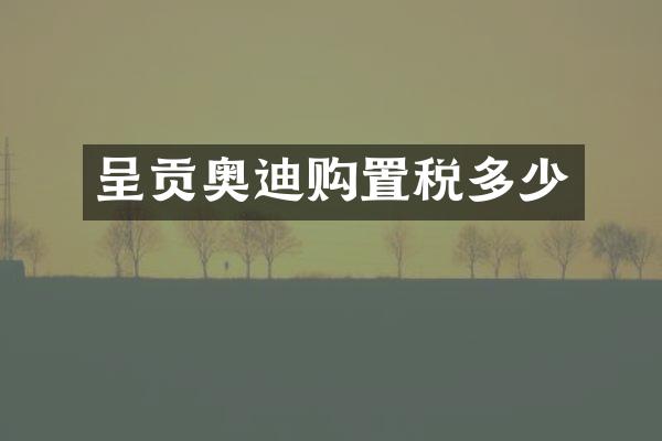 呈贡奥迪购置税多少