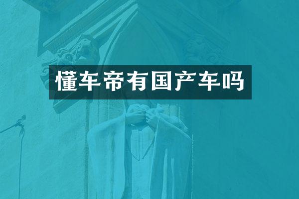 懂车帝有国产车吗