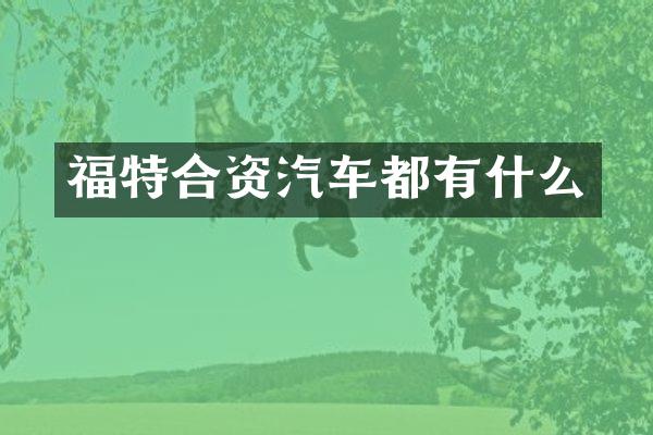 福特合资汽车都有什么