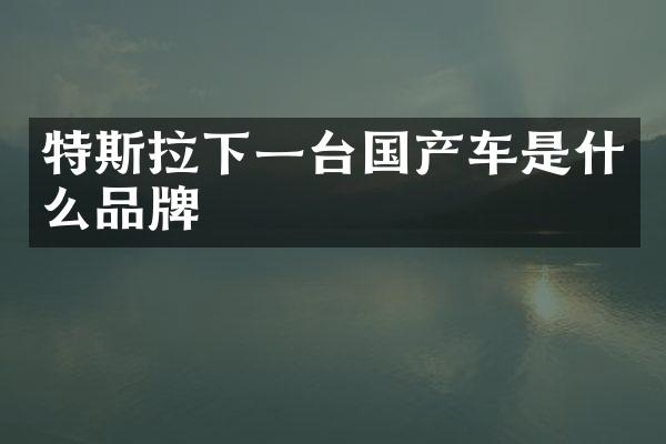 特斯拉下一台国产车是什么品牌