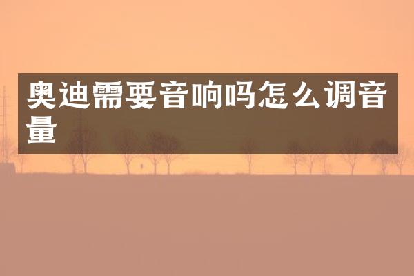 奥迪需要音响吗怎么调音量