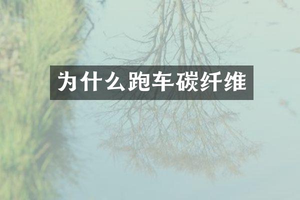 为什么跑车碳纤维