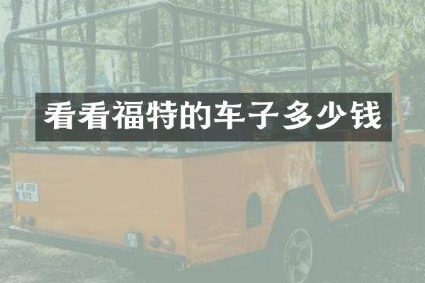 看看福特的车子多少钱