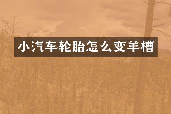 小汽车轮胎怎么变羊槽