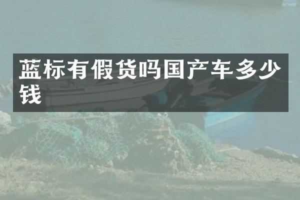 蓝标有假货吗国产车多少钱