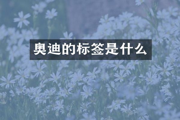 奥迪的标签是什么