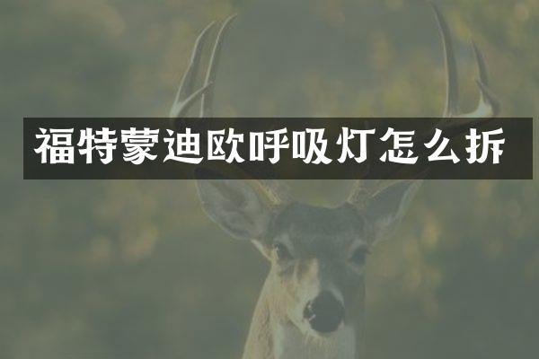福特蒙迪欧呼吸灯怎么拆