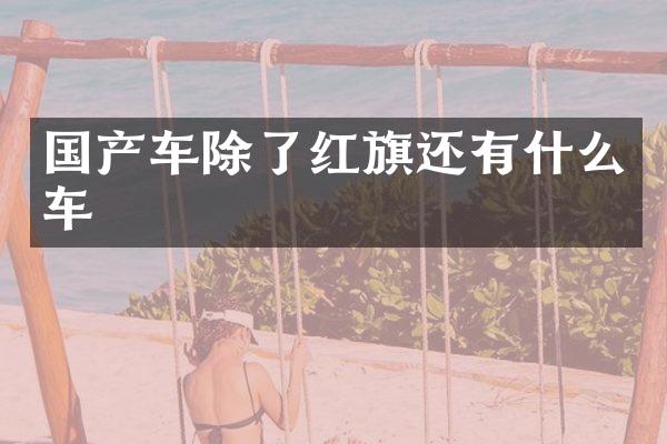 国产车除了红旗还有什么车