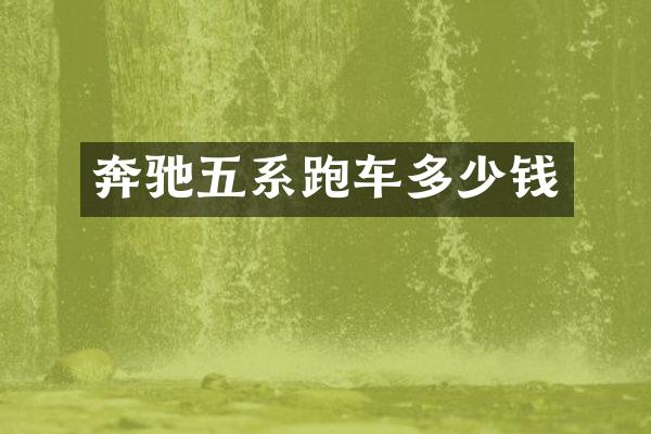 奔驰五系跑车多少钱