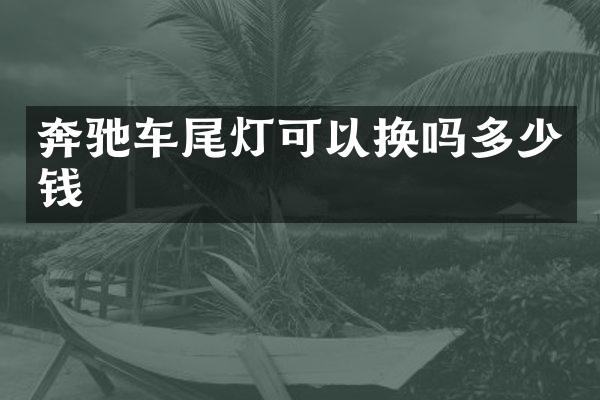 奔驰车尾灯可以换吗多少钱