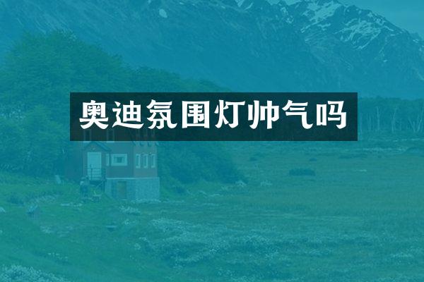 奥迪氛围灯帅气吗