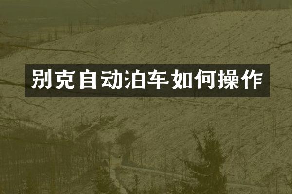 别克自动泊车如作