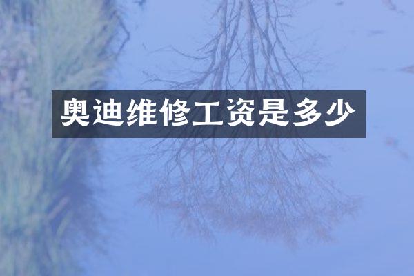 奥迪维修工资是多少