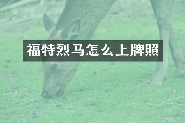 福特烈马怎么上牌照