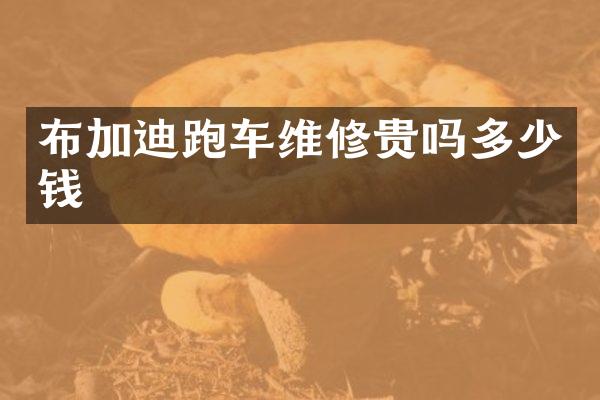 布加迪跑车维修贵吗多少钱